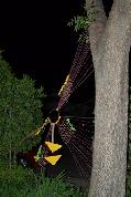 Dream catcher night view 2