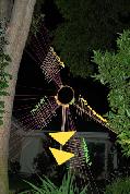 Dream catcher night view 3