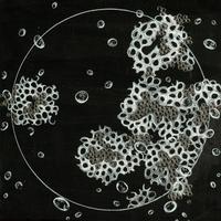 Under the microscope IV