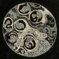 Under the microscope II